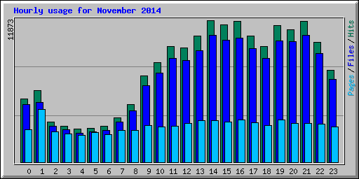Hourly usage for November 2014