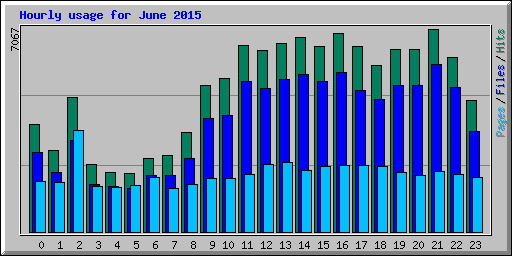 Hourly usage for June 2015