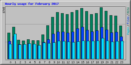 Hourly usage for February 2017