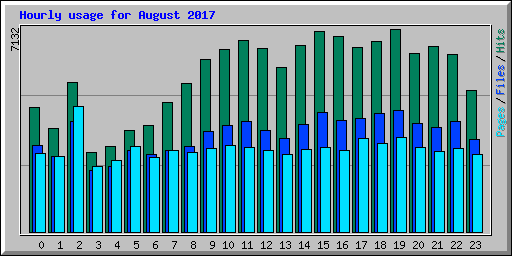 Hourly usage for August 2017