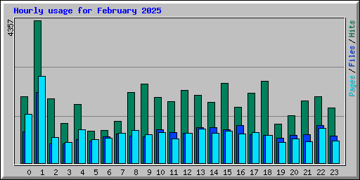 Hourly usage for February 2025