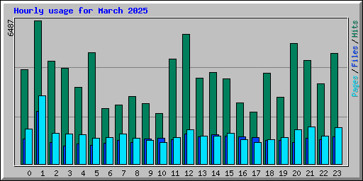 Hourly usage for March 2025