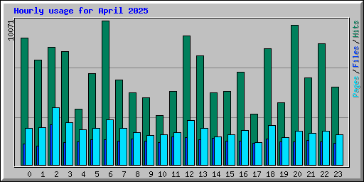 Hourly usage for April 2025