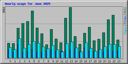 Hourly usage for June 2025