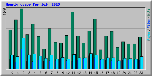 Hourly usage for July 2025