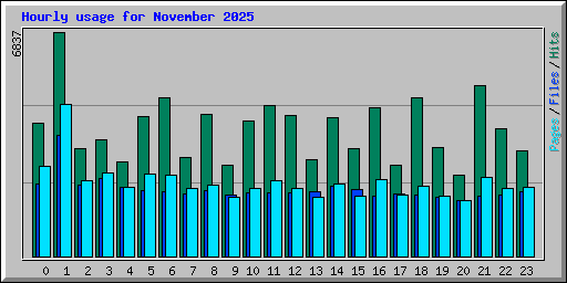 Hourly usage for November 2025