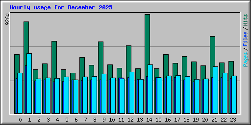 Hourly usage for December 2025