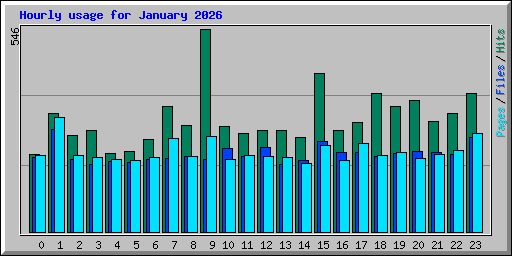 Hourly usage for January 2026