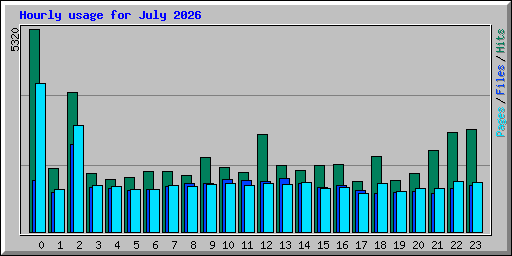 Hourly usage for July 2026